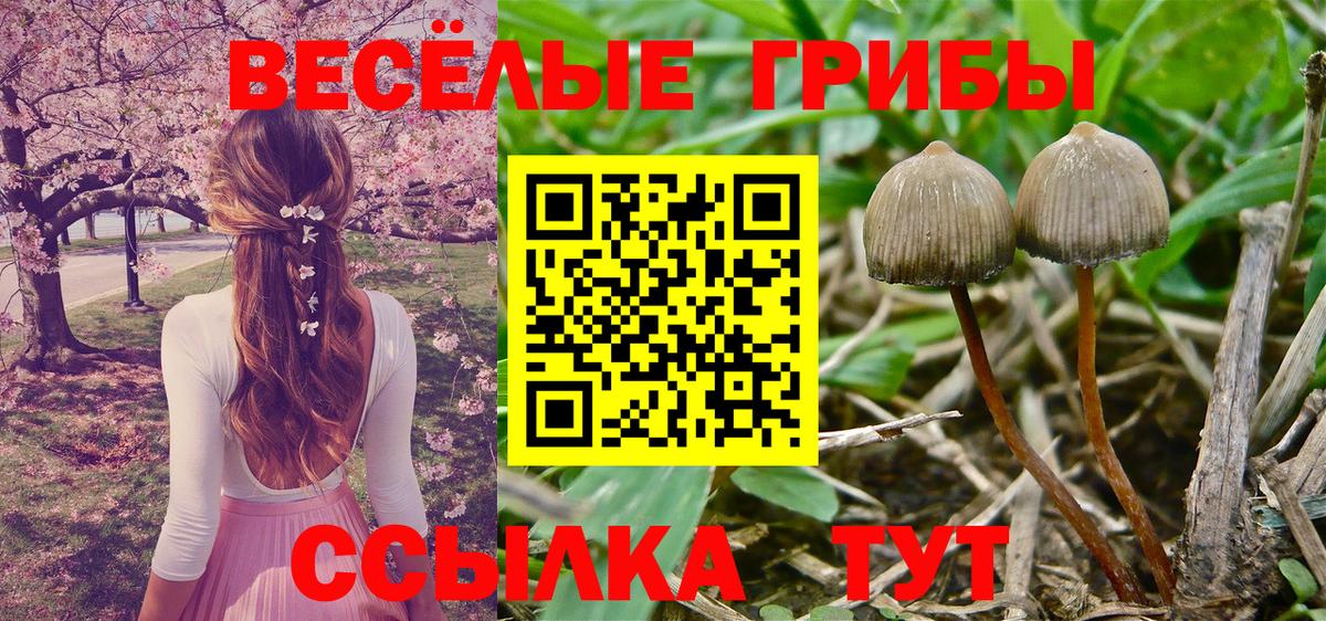 Псилоцибиновые грибы Cubensis  Вход с VPN  где можно купить   Учалы 